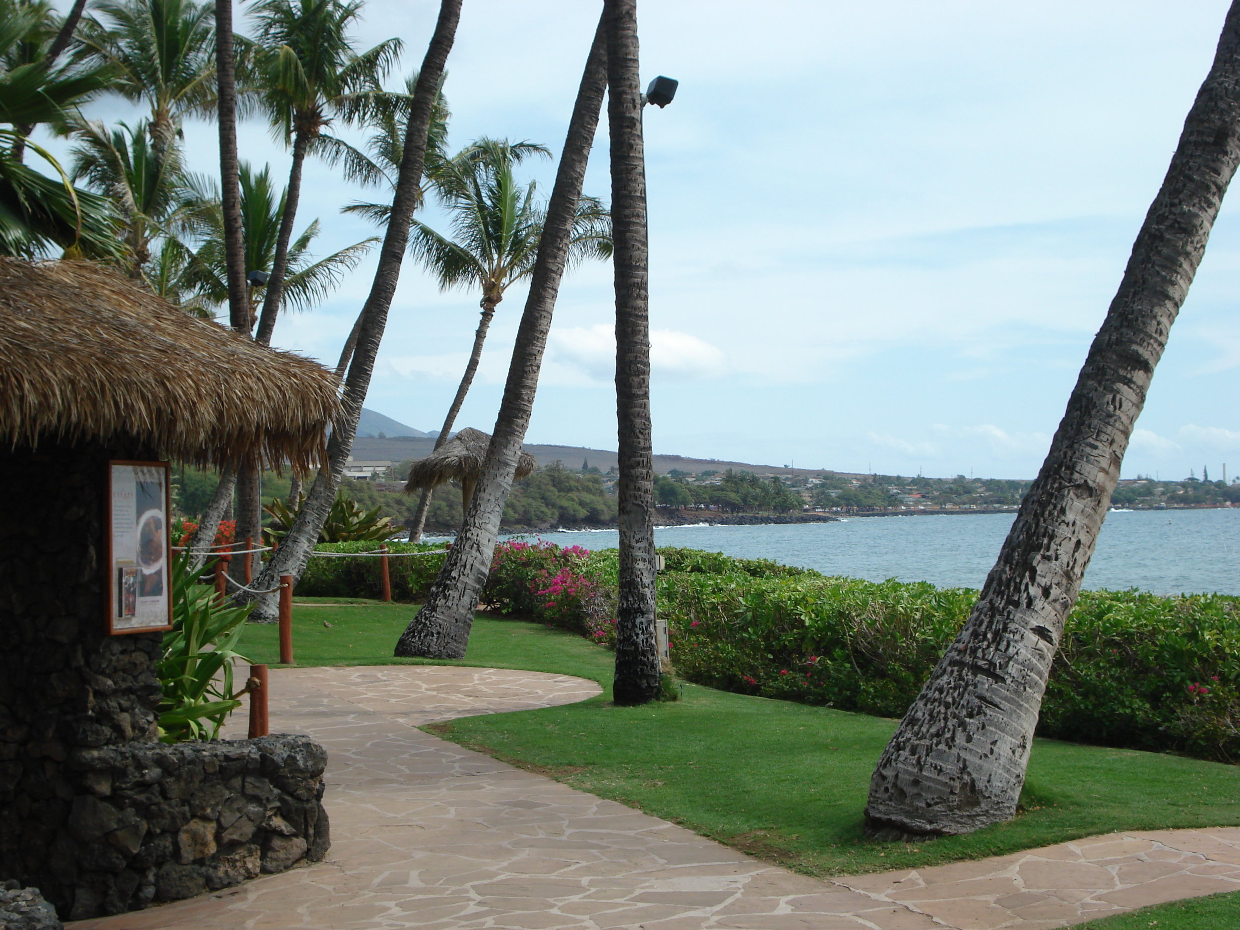 Hawaii 20.JPG