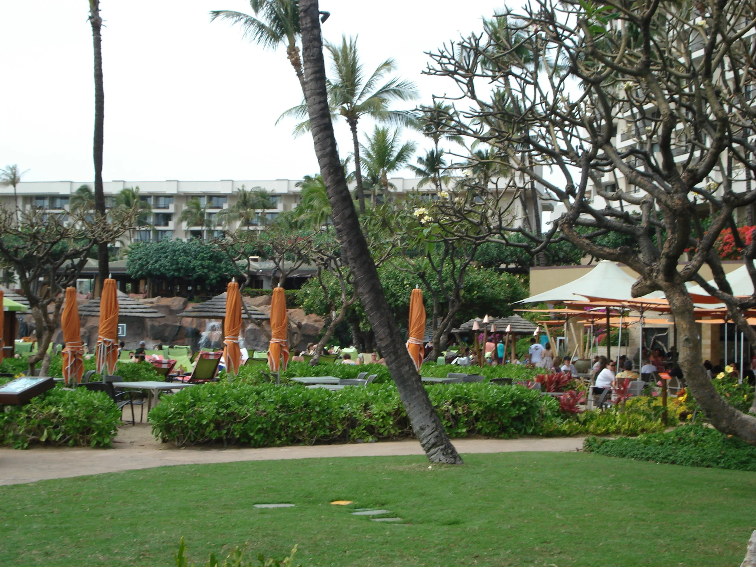 Hawaii 25.JPG