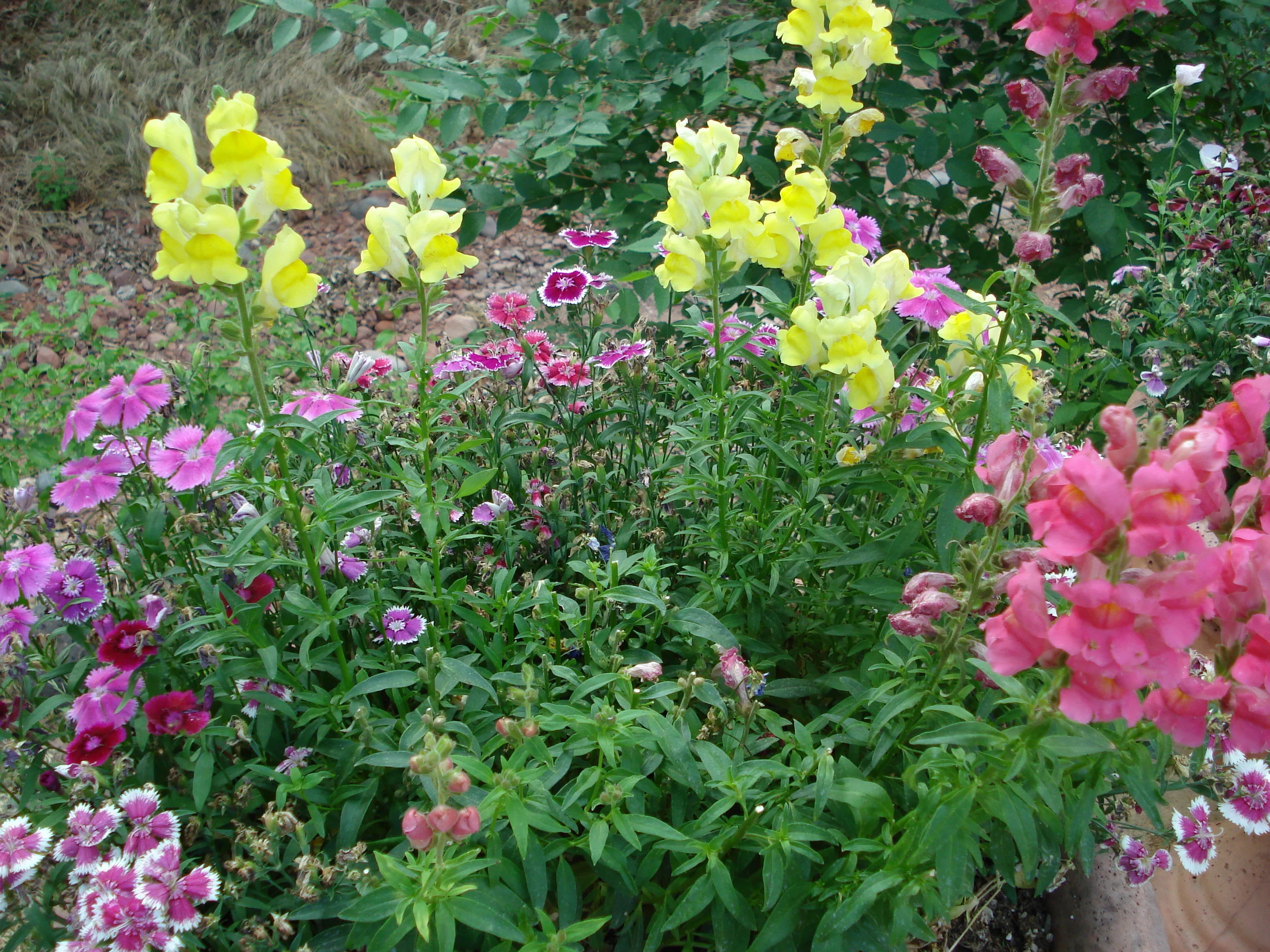 TALQUEPAQUE ARTS & CRAFTS VILLAGE