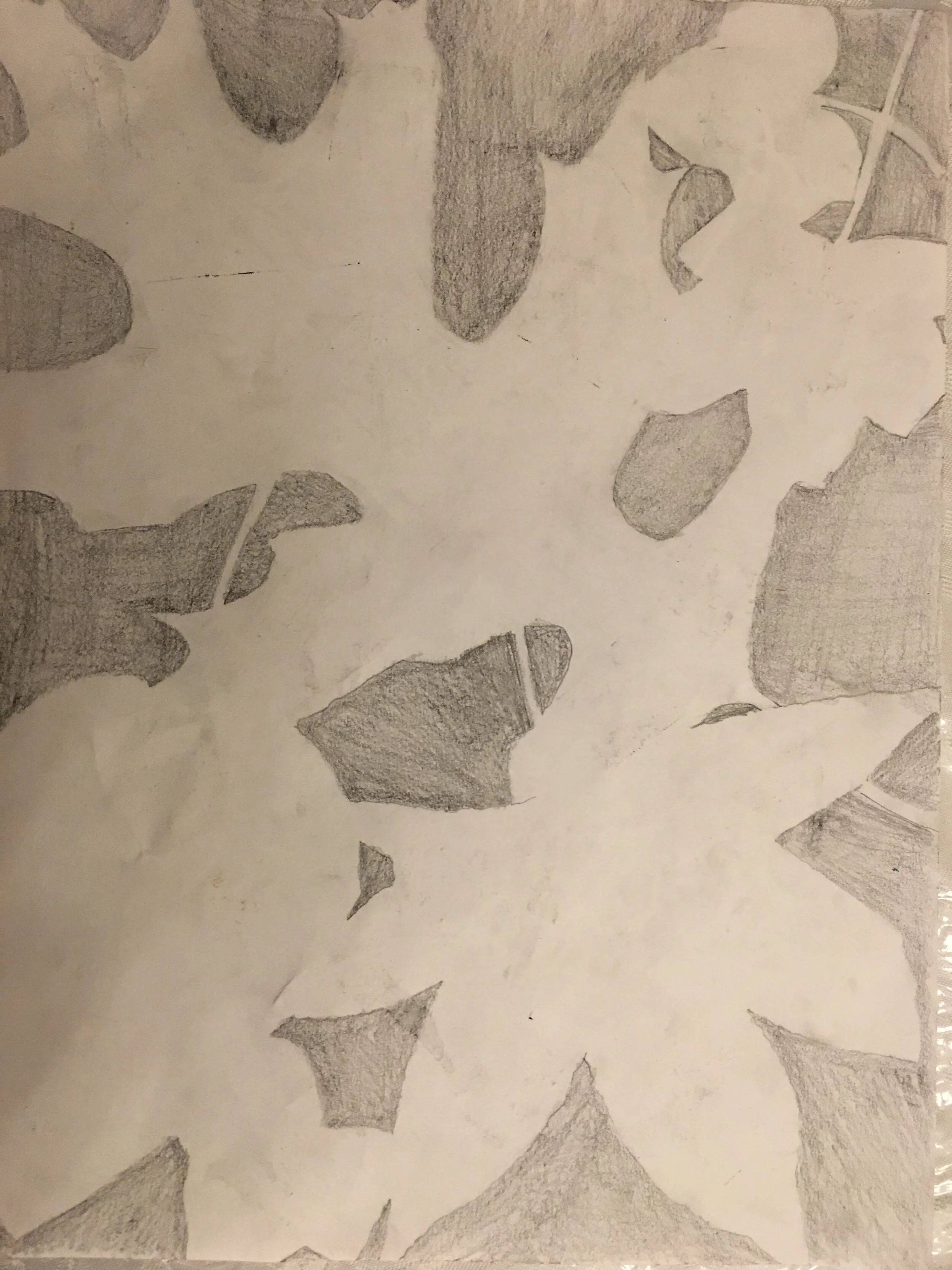 IMG_2047.jpeg