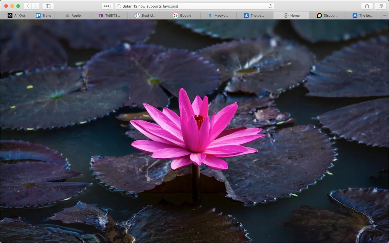 Safari-favicons-photo.jpg