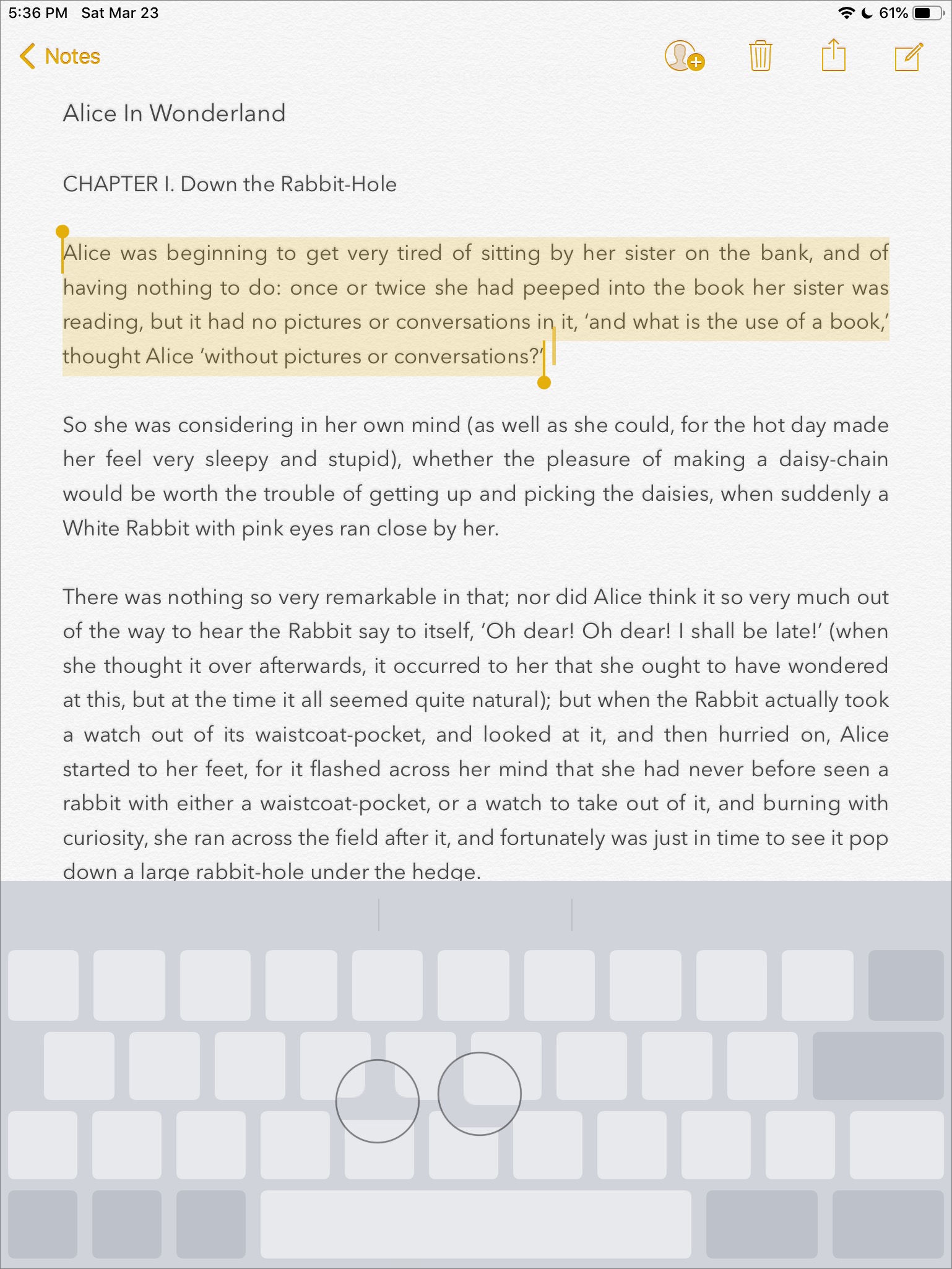iPad-Trackad-mode.jpg