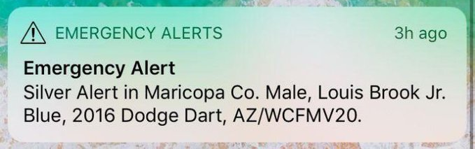 Silver-Alert.png