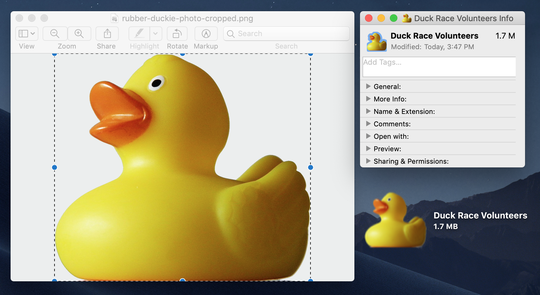 custom-icons-duck.png