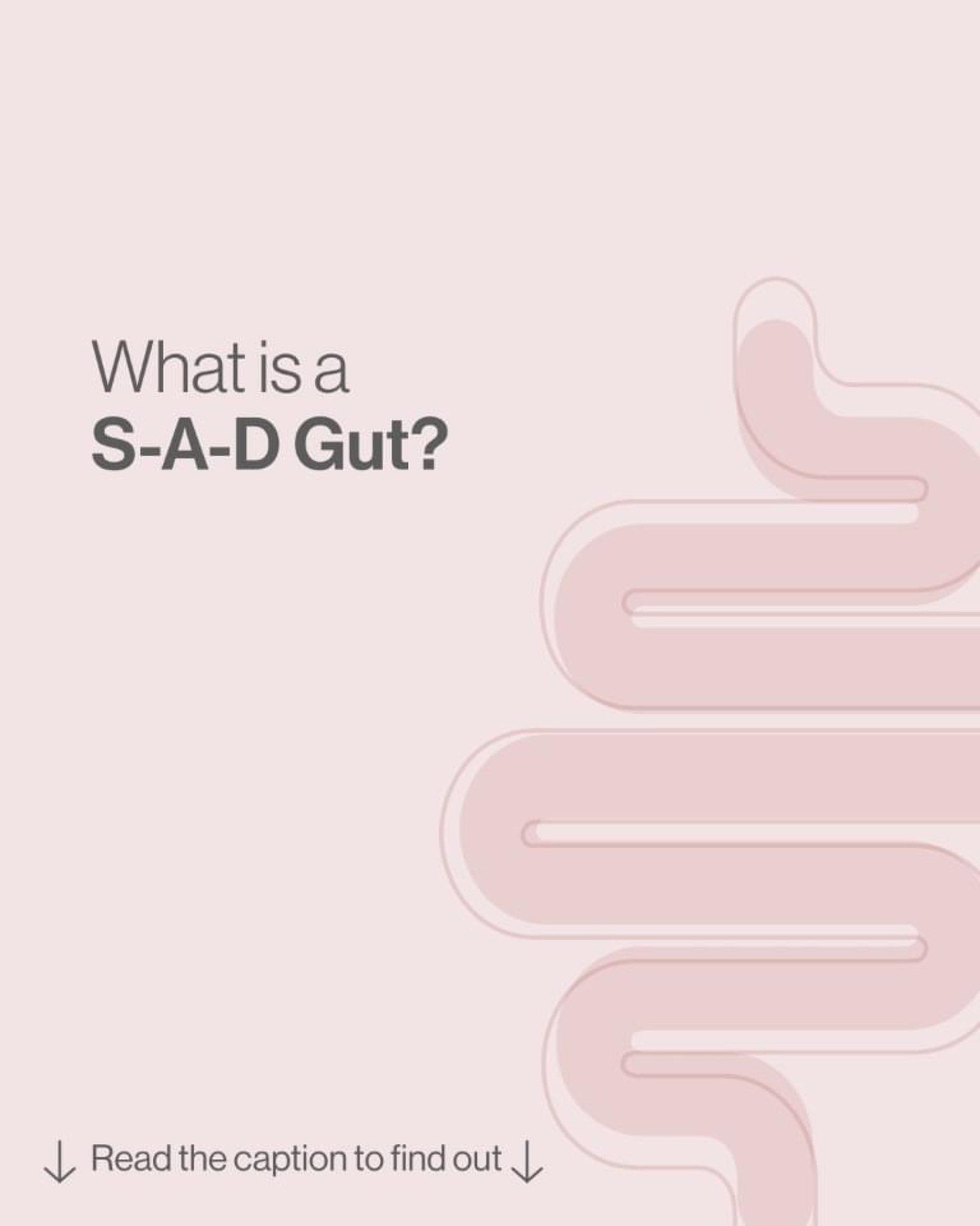 We refer to an imbalanced gut microbiome as a S-A-D gut. 

This is because the contributing factors all start with the letters S-A-D. 

These factors include S: stress, smoking, sleep problems; A: alcohol, ageing, antibiotics; and D: diet such as fas