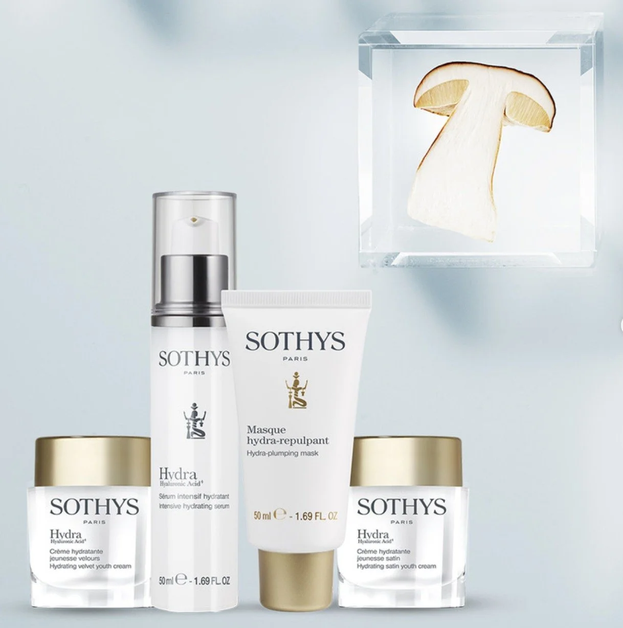 Not all Hyaluronic Acid is created equal.
This winter, give your skin hydration that works beyond the surface.
The Sothys Hydra4Ha&trade; range combines 3 molecular weights of Hyaluronic Acid to hydrate at multiple levels of the skin for immediate co