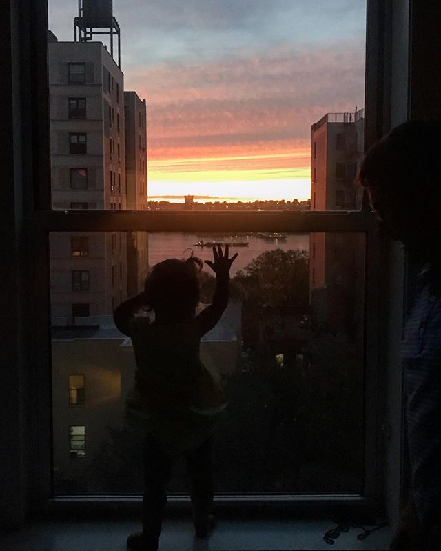 Catching that bedtime sunset!