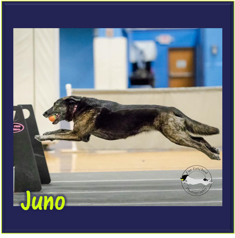 Juno.png
