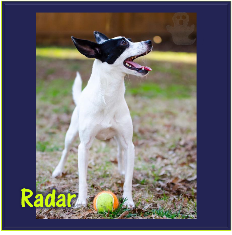 Radar.png