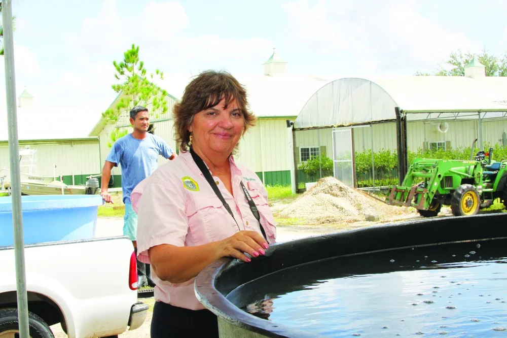 Dr. Kevan Main of MOTE Marine Aquaculture Park.