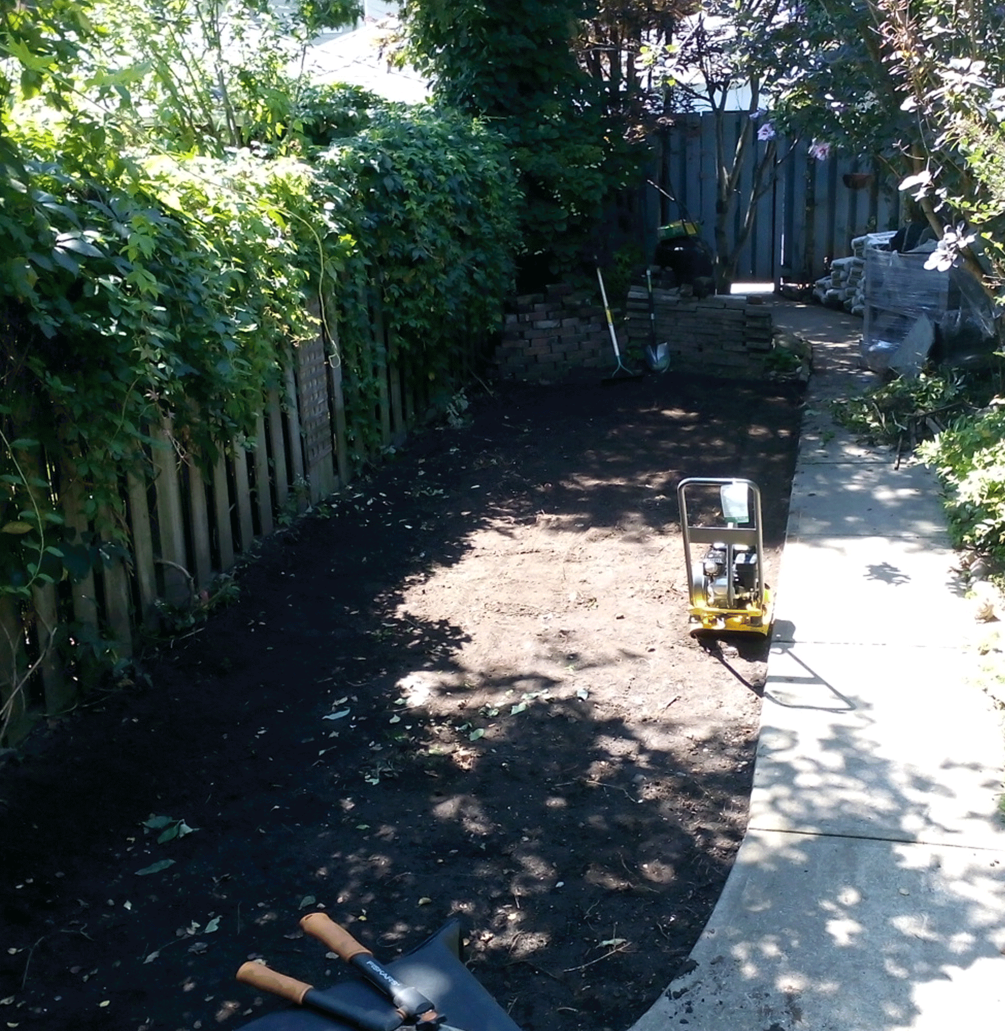 Kent Street Backyard