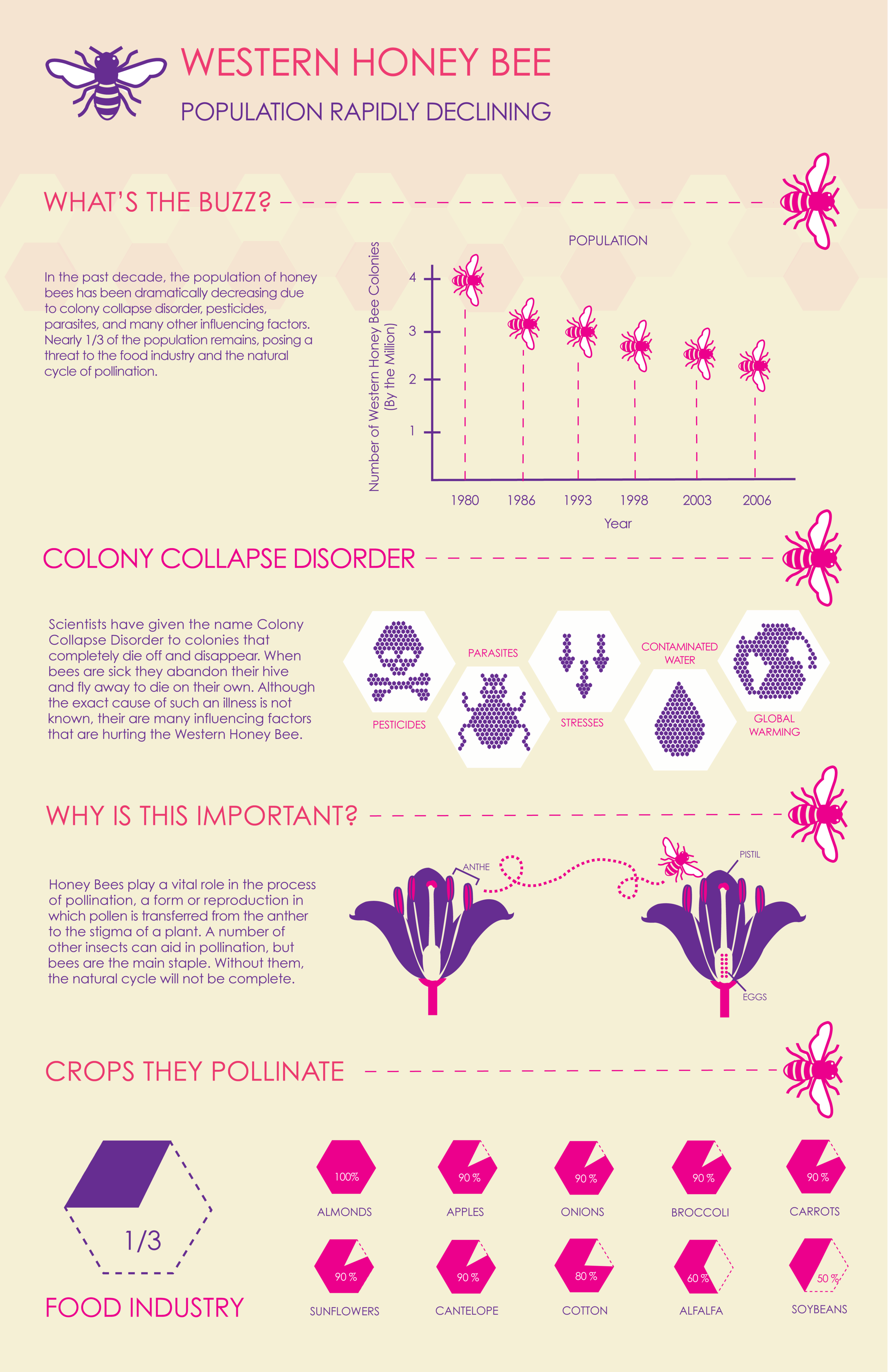 HoneyBeeInfographic4.png