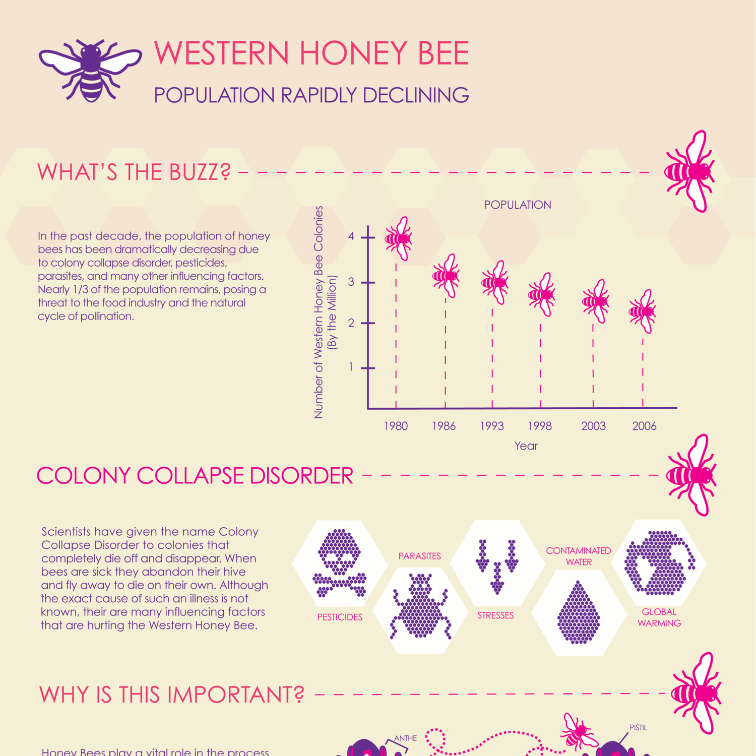 HoneyBeeInfographic4.png