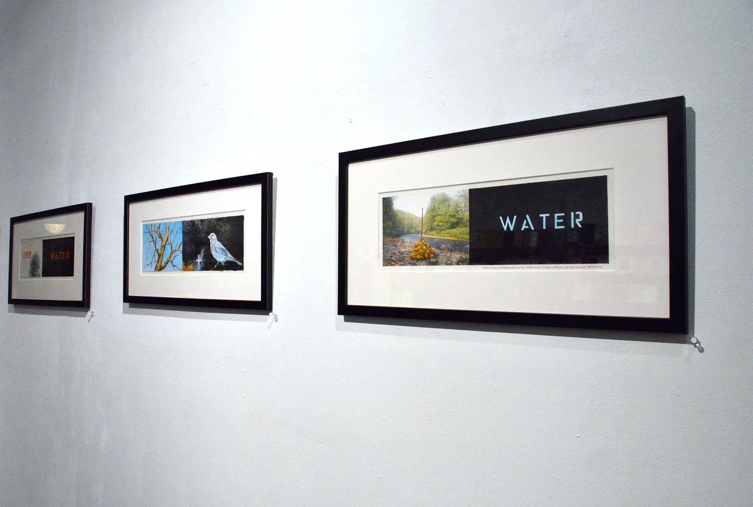 In the Direction of the Storm