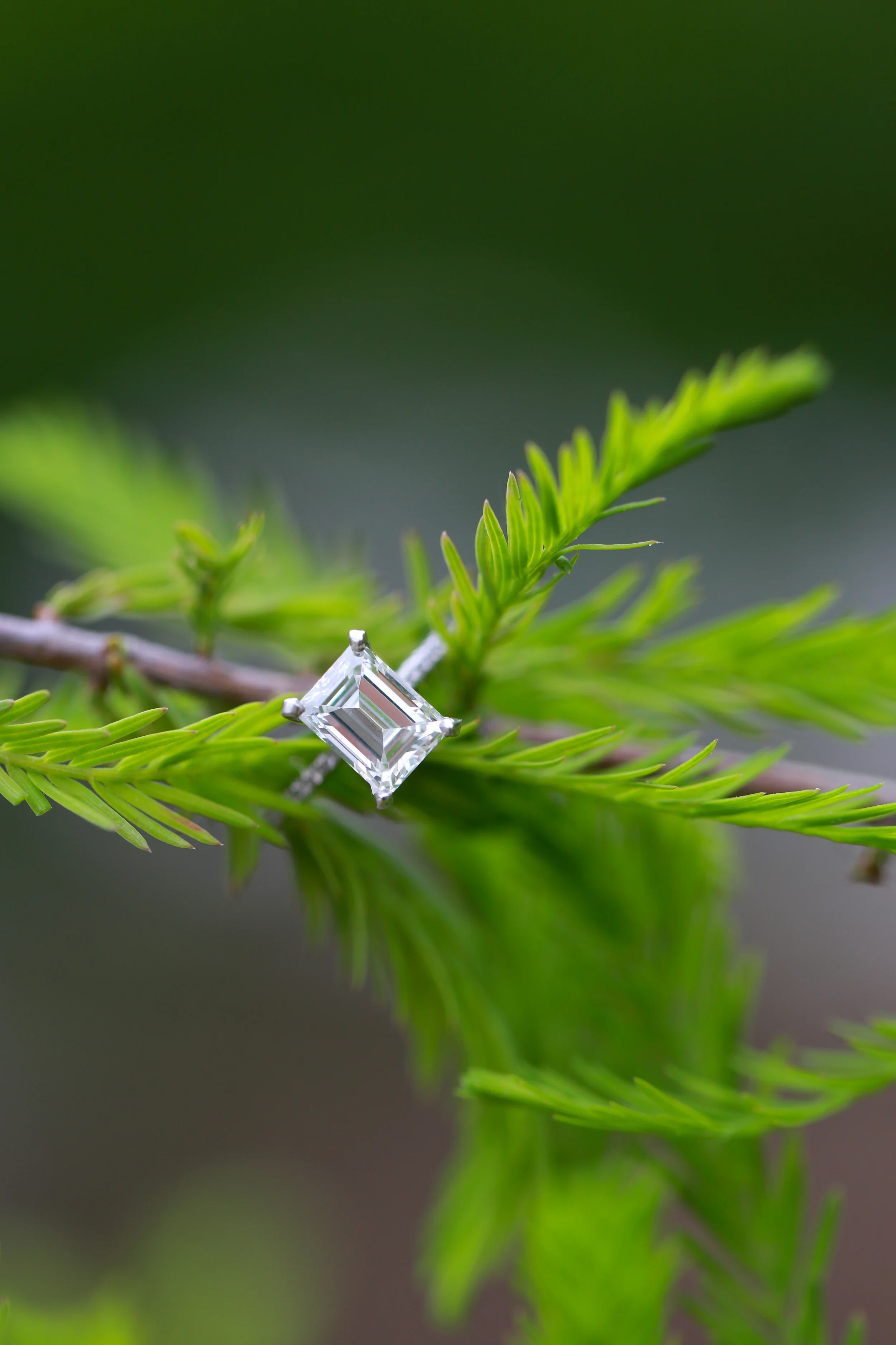 ring shot