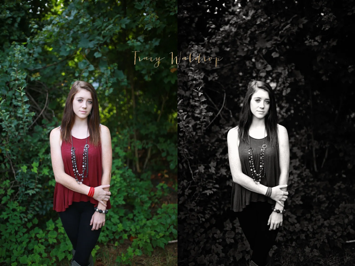 asheville senior portraits