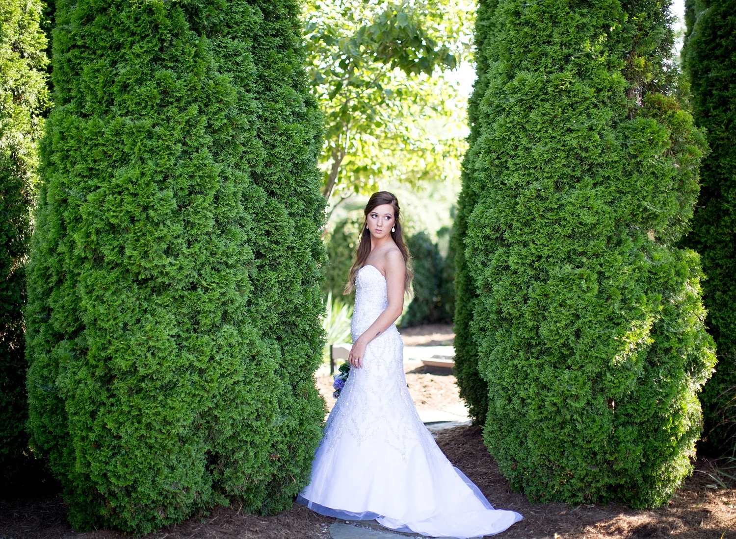 bridal portraits between trees