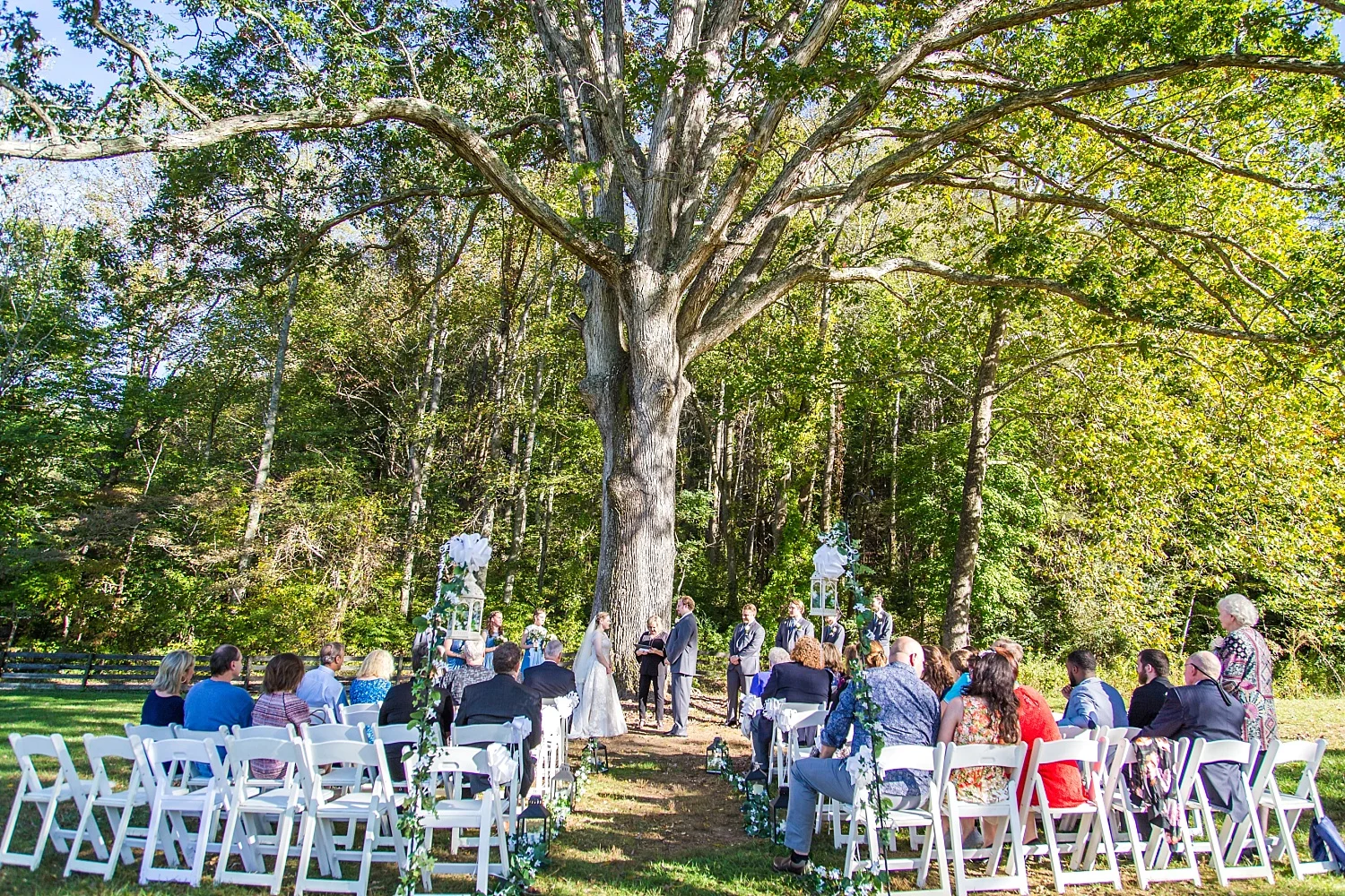 big oak tree wedding