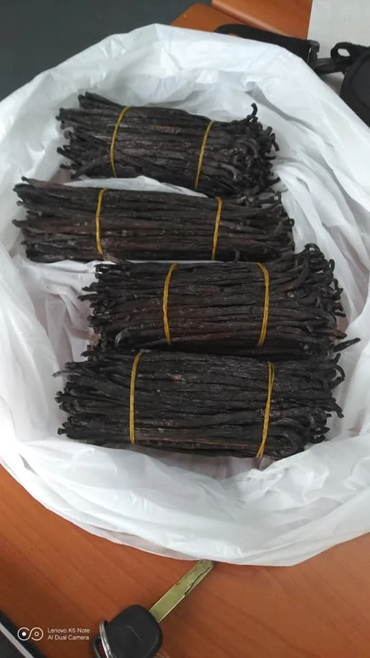 vanilla a grade 1.jpg
