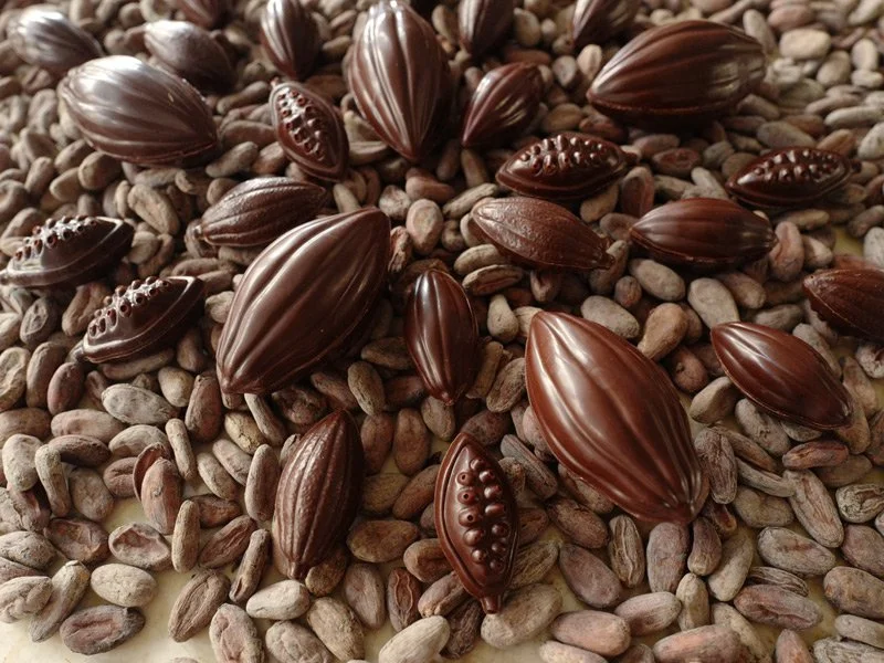 Chocolate Specialities — Jessica Pedemont - Chocolate Artisan