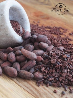 Roasted Cacao beans — Jessica Pedemont Chocolate Artisan