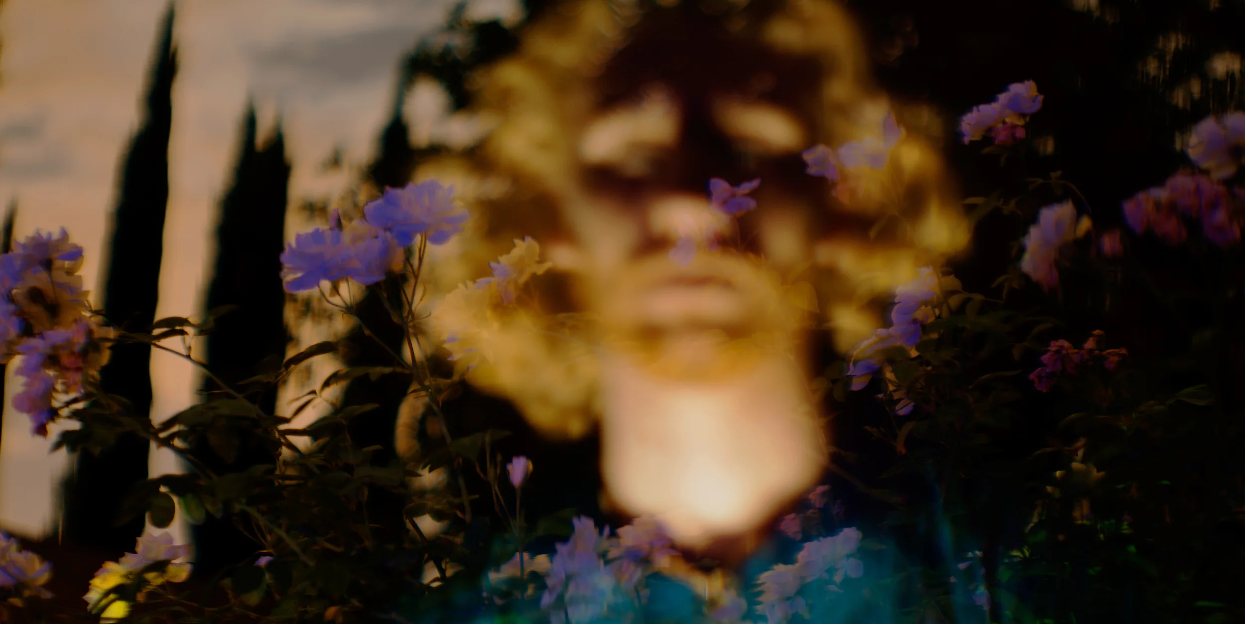 Digital Anamorphic
