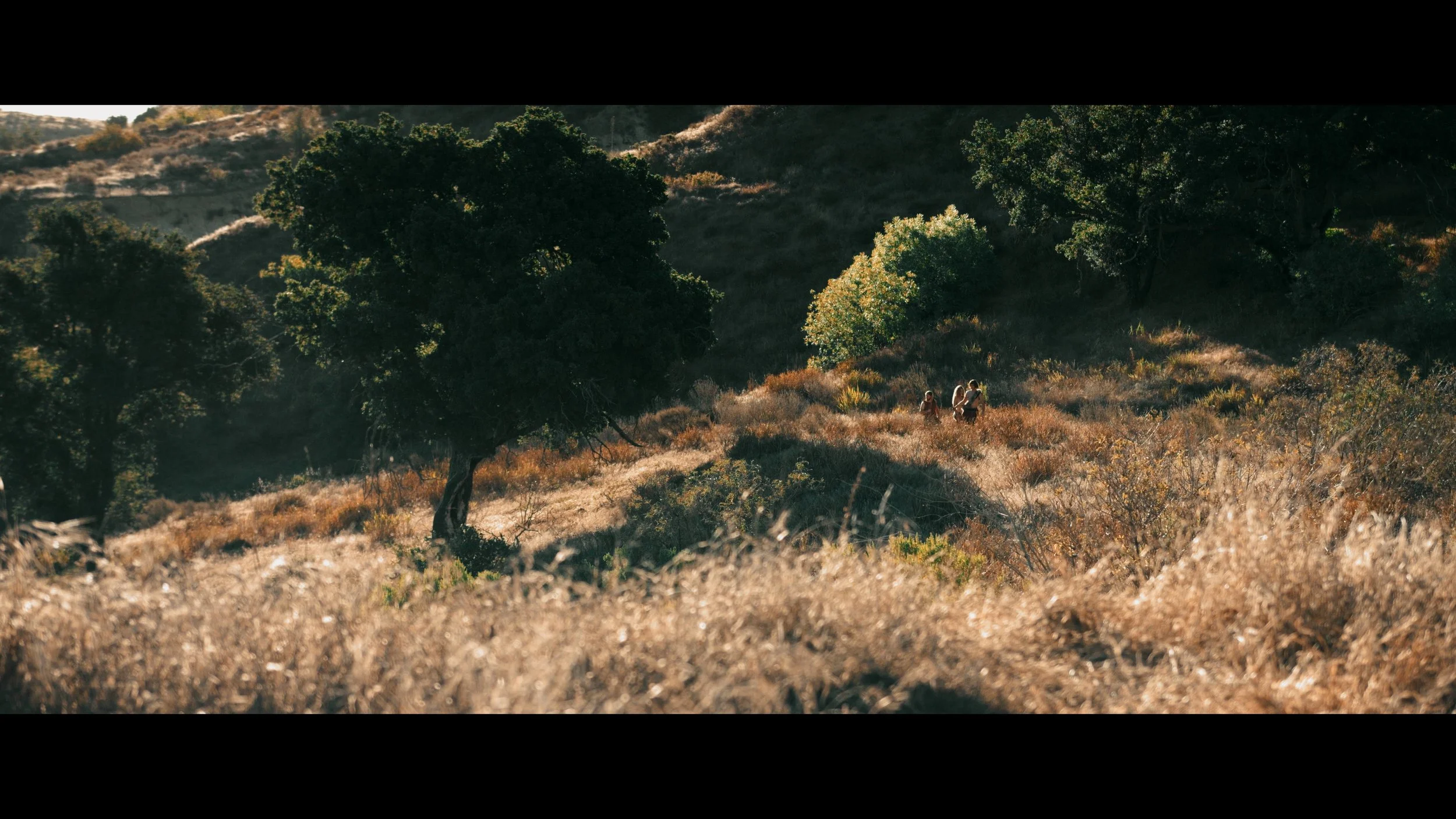 Feature Film