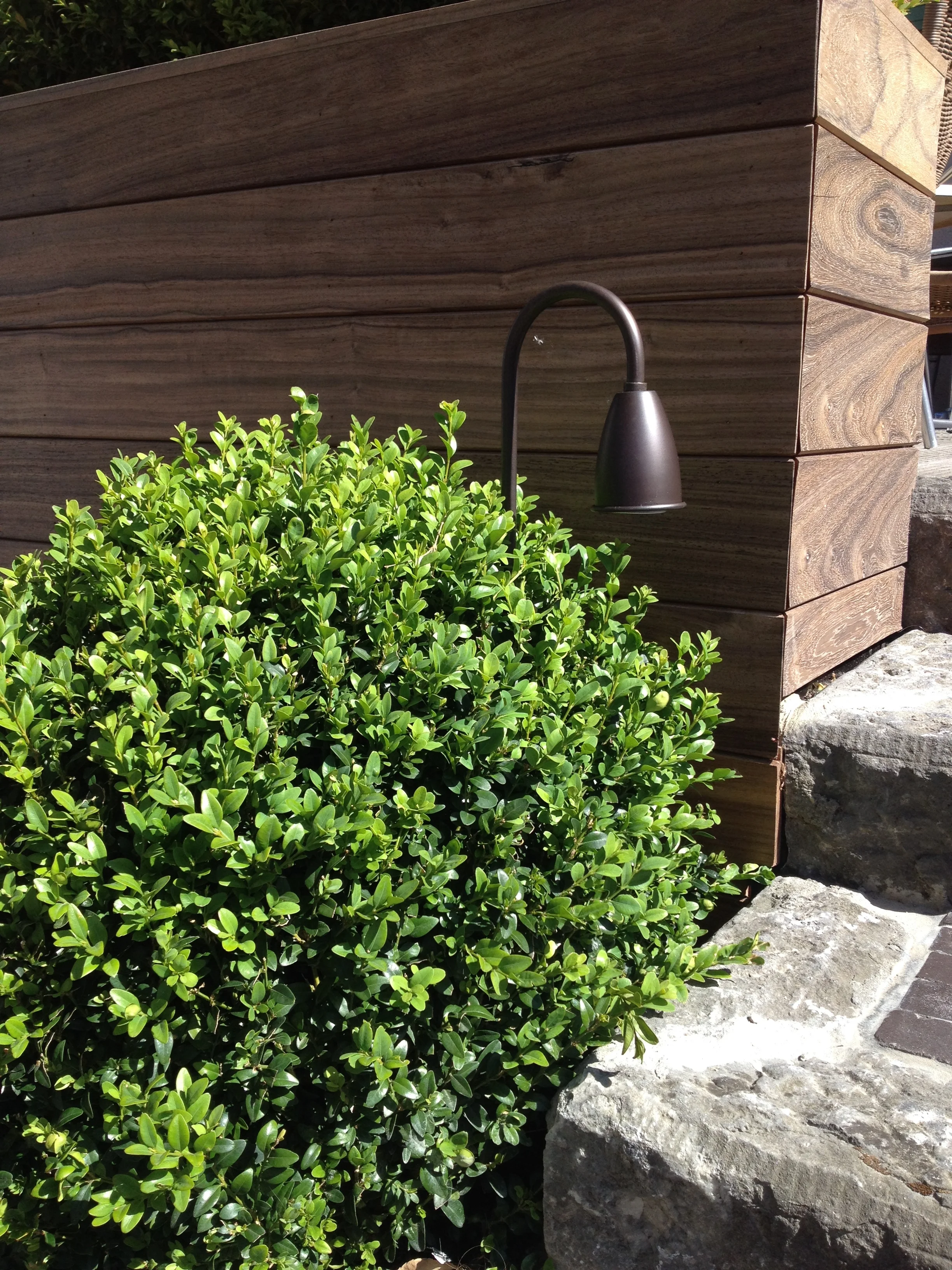 Luminello outside collection