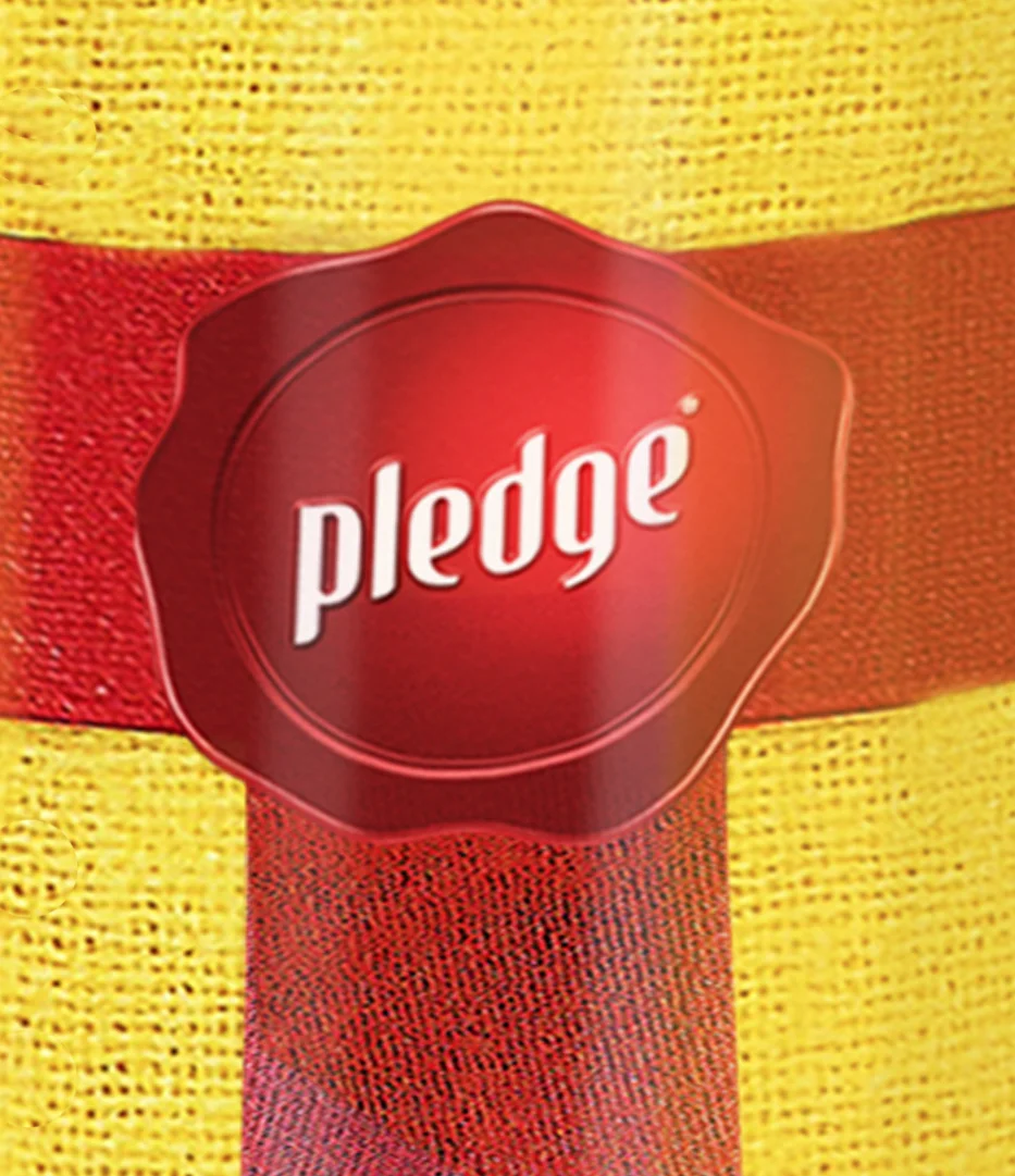 pledge.jpg
