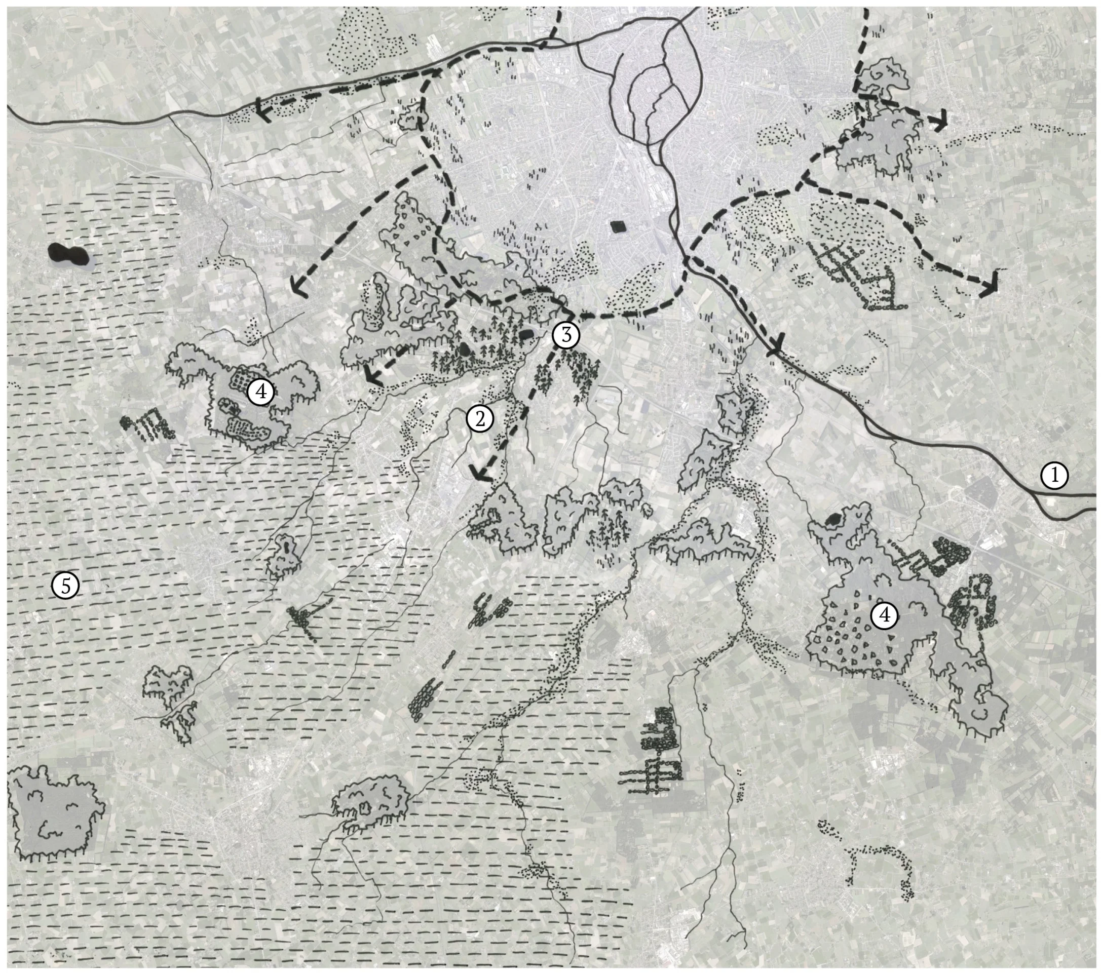 BMscan2.jpg