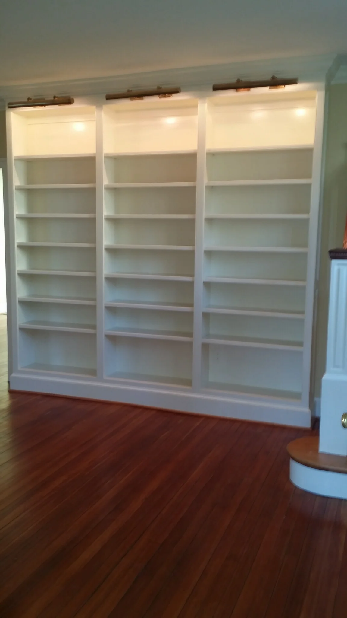 Bookcases with lighting.