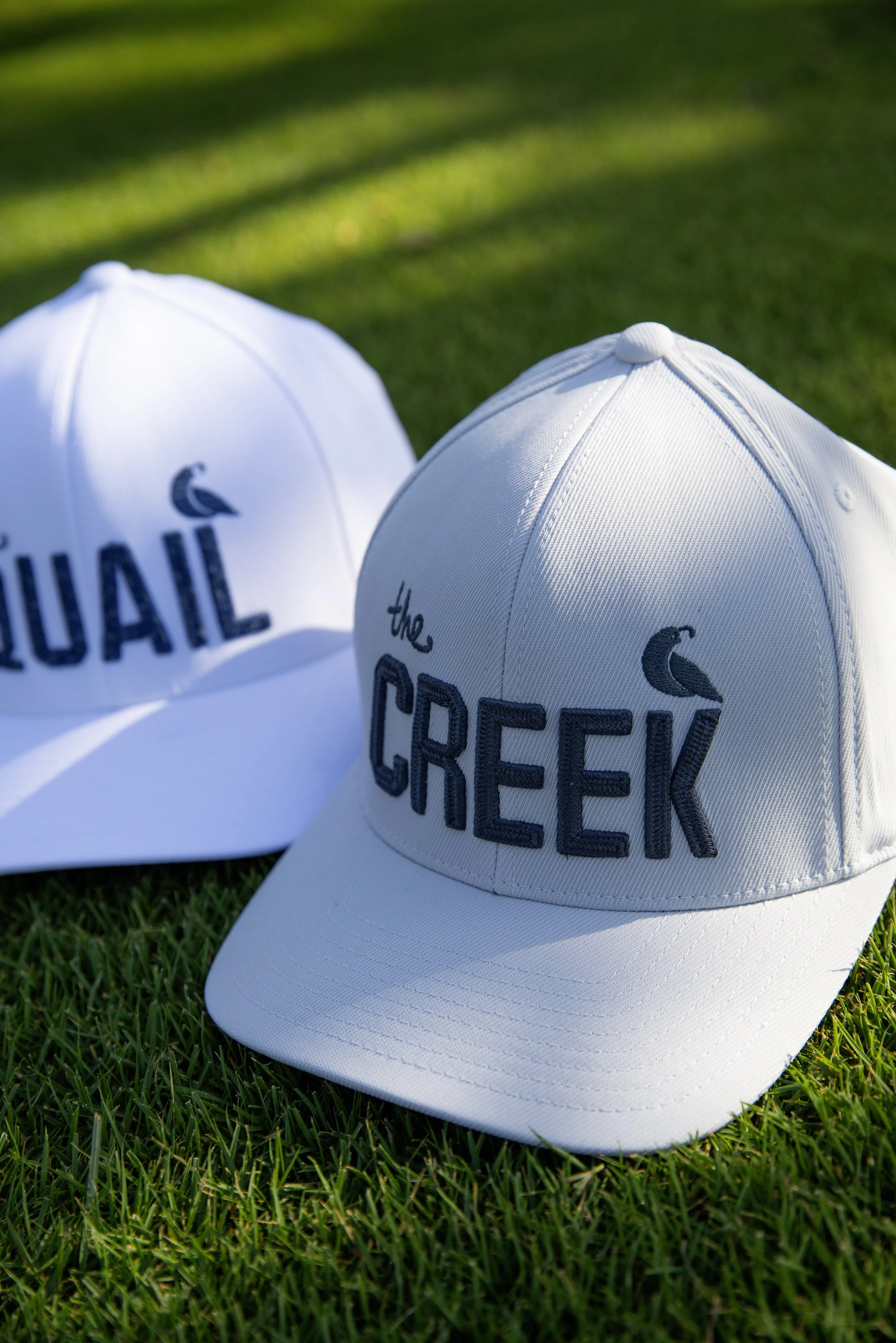 Quail Creek_Select 01-08769 copy.jpg