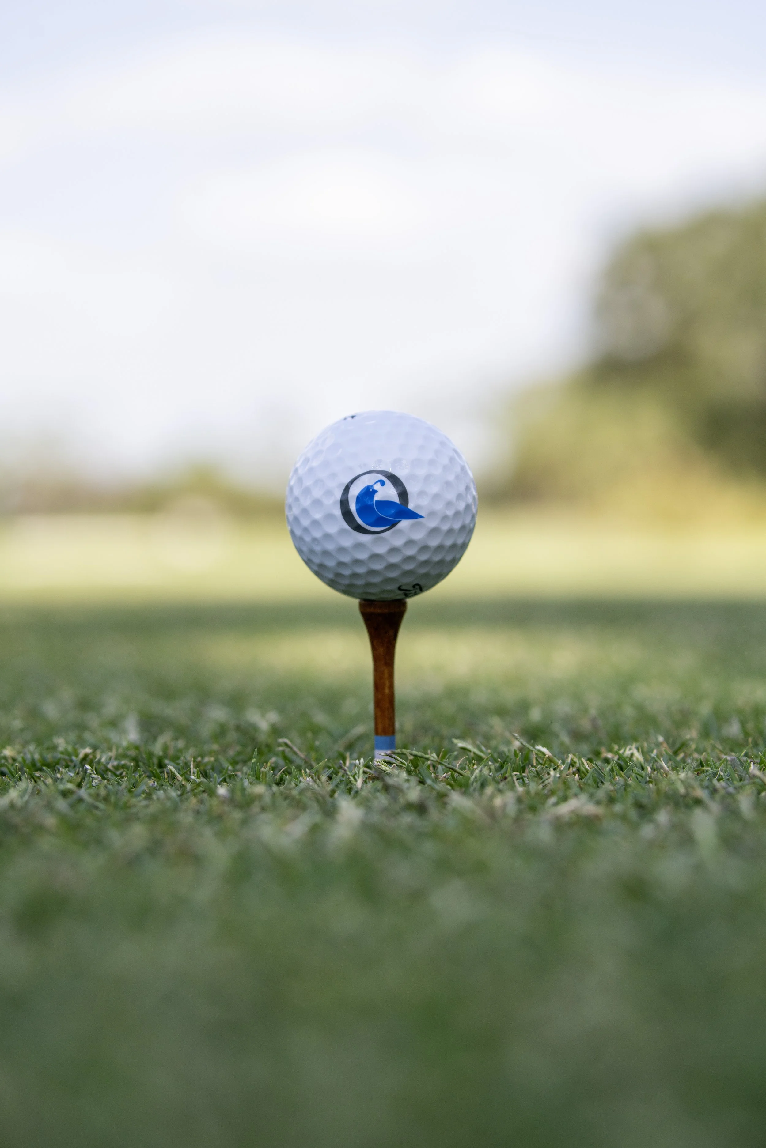 Quail Creek_Select 01-09143 copy.jpg