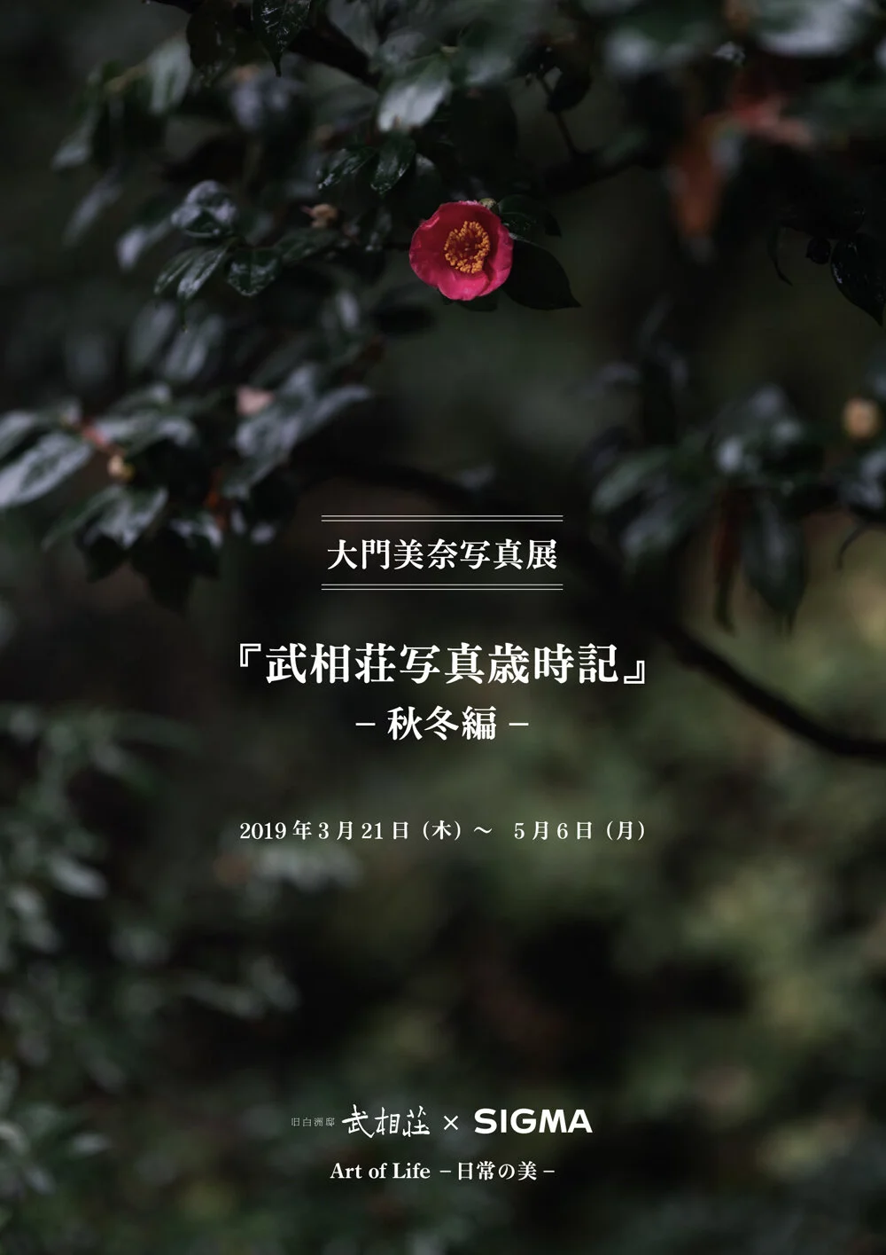 武相荘× SIGMA共同企画イベント 大門美奈写真展『武相荘写真歳時記』秋冬編