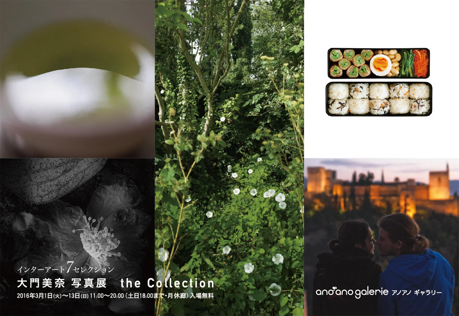 インターアート7セレクション 大門美奈写真展 "the Collection" 