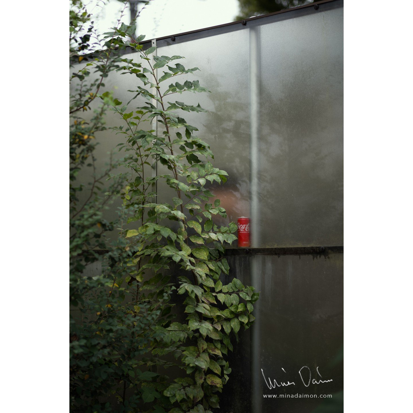 Coca-Cola. Akasaka. Tokyo, Japan 2024.

#LEICA #leicaM11P #summilux #summilux50 #summilux50mm #leicacamera #leicaphoto #leicagram #storyofthestreet #streets_storytelling #streetphoto #streetphotography #streetphotographer #SPiCollective #bnw_demand #