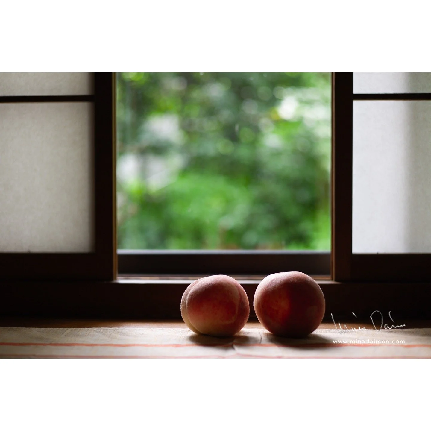 Parents' home. Kanagawa, Japan 2014.

#LEICA #leicaME #summicron #summicron50 #summicron50mm #summicron50mmf2 #leicacamera #leicaphoto #leicagram #homephotography