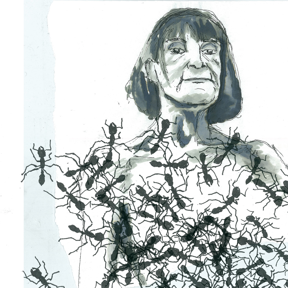  feutre, aquarelle & linogravure