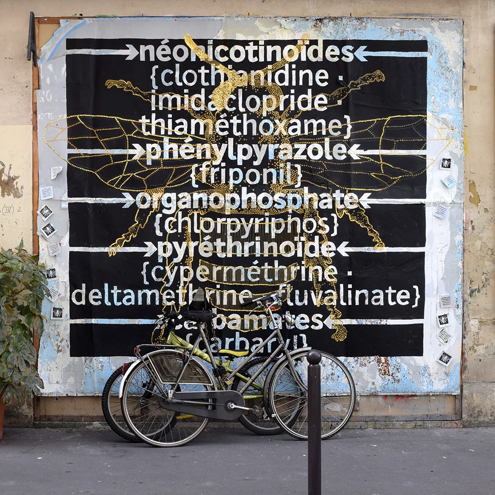 fresque.jpg