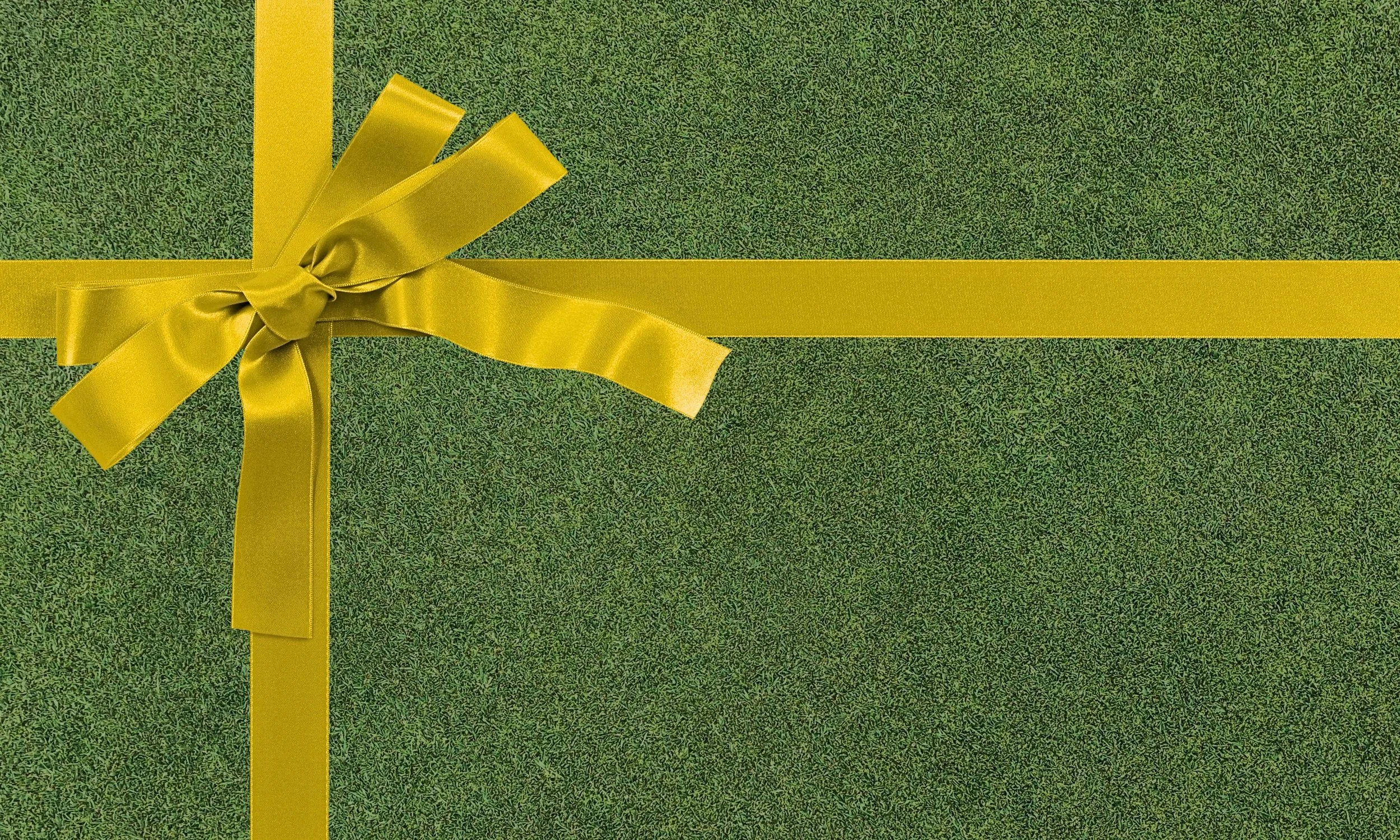 Chomonix_GiftCard_Bow_WebBanner25.jpg