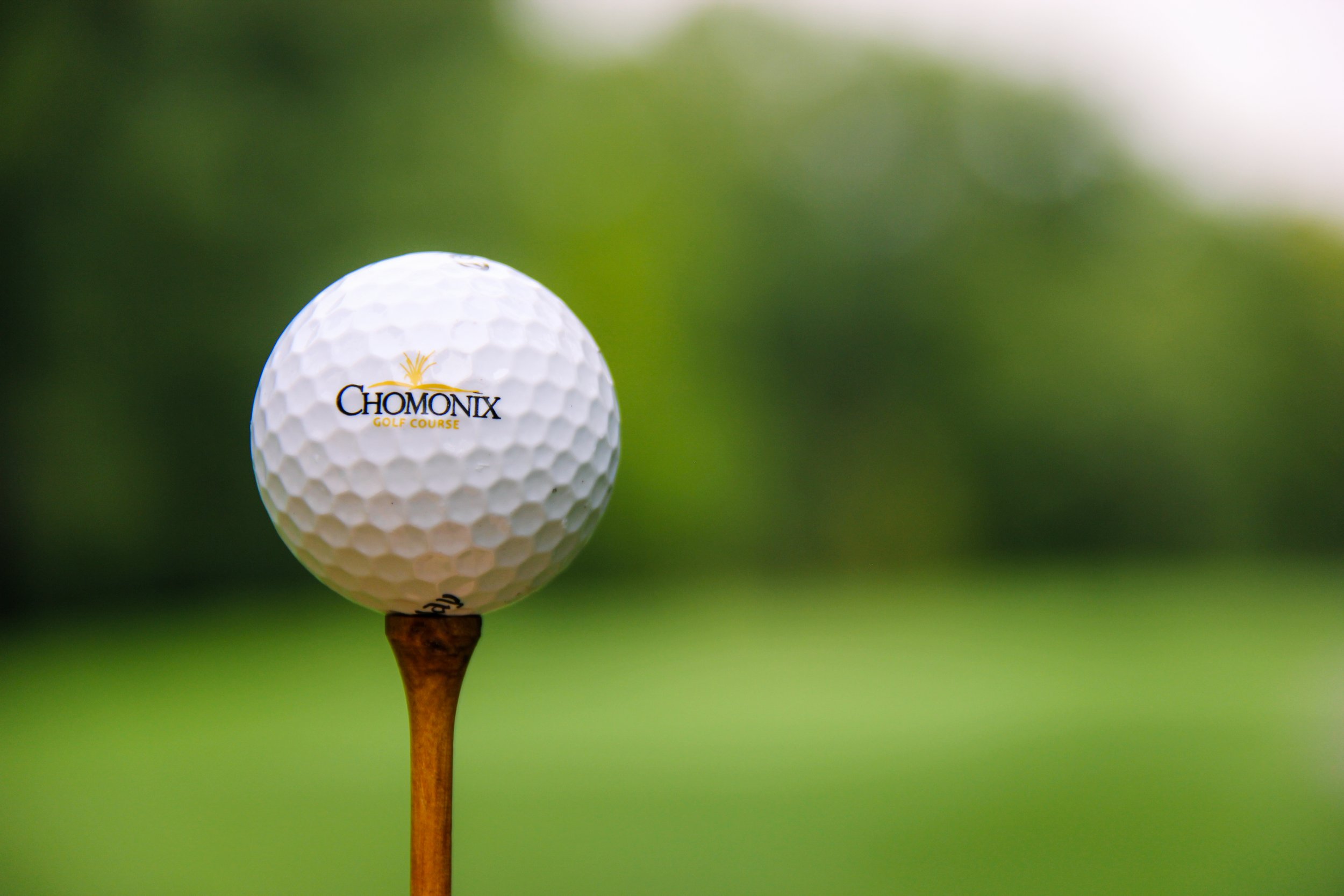 ChomGolfBall1.jpg