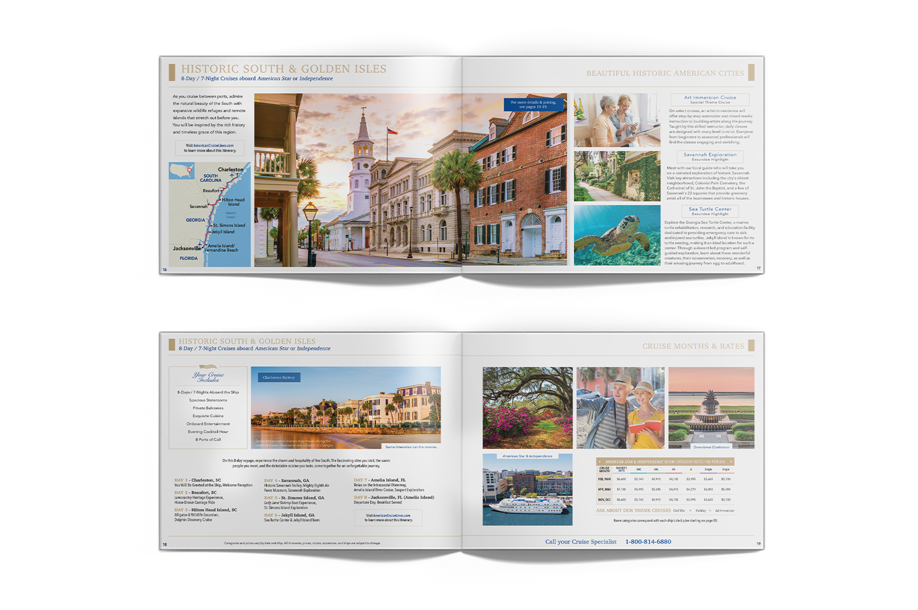 Brochure / Dailies Redesign