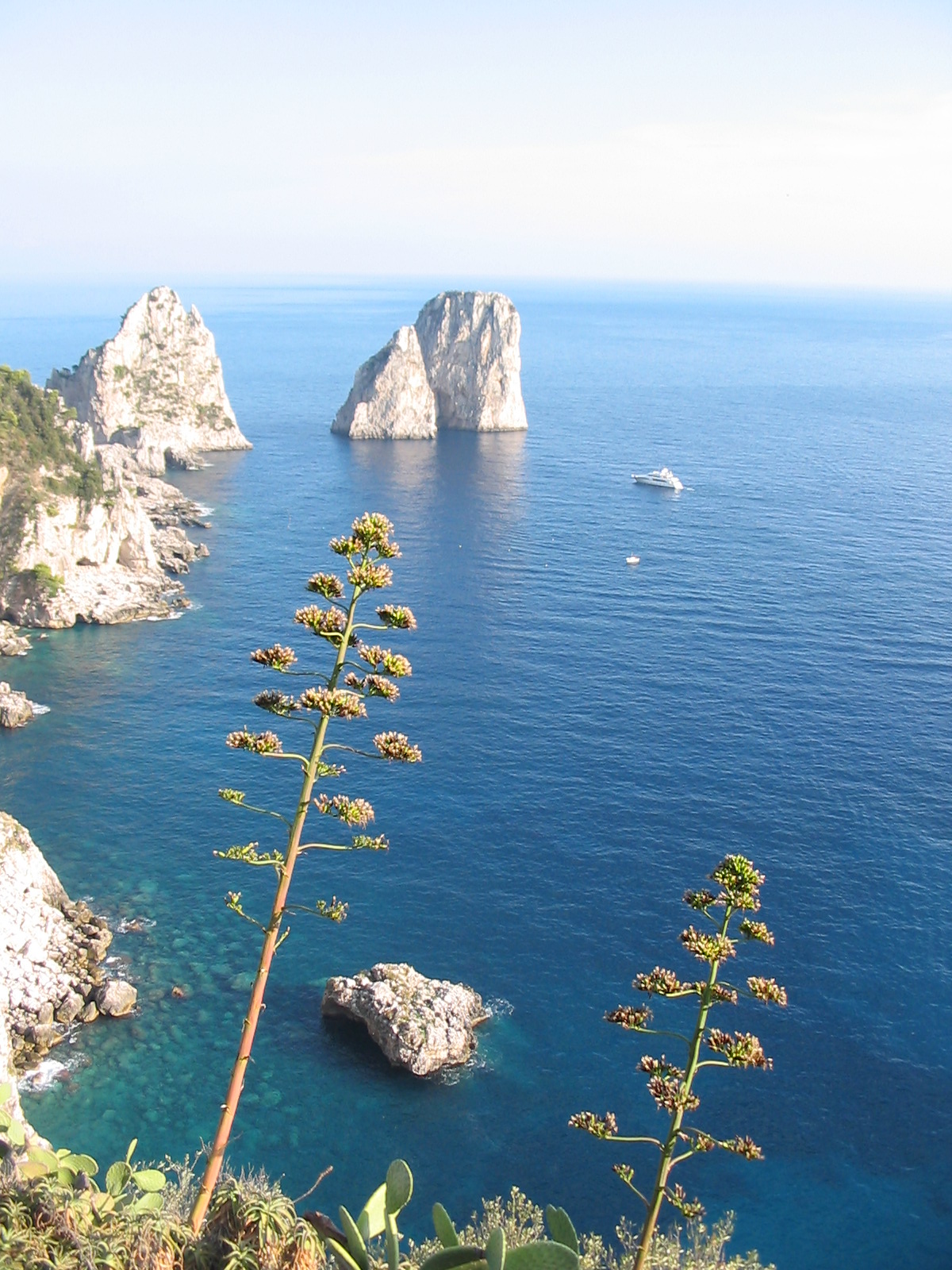 FIOREIMAGE LANDSCAPE