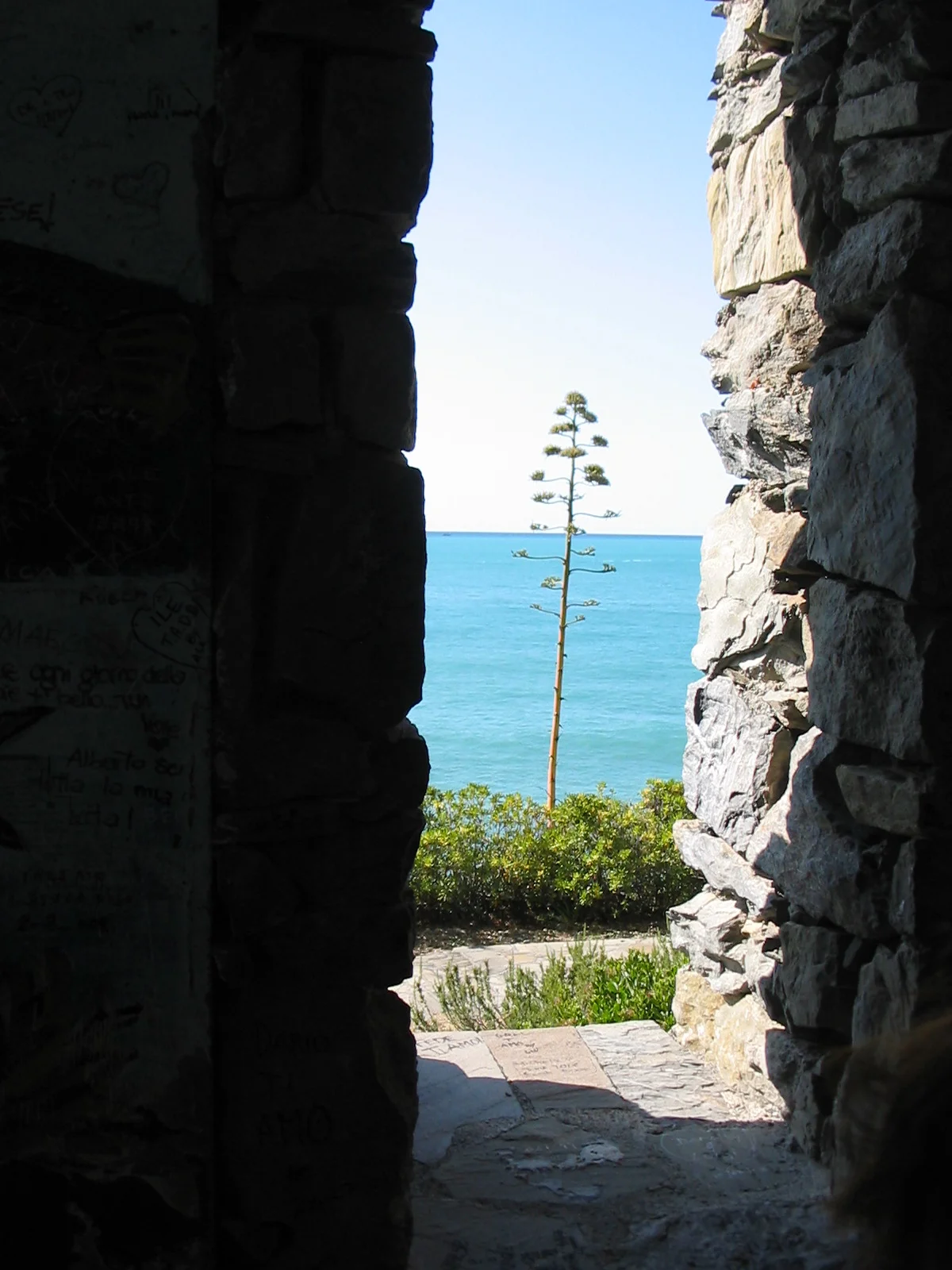 FIOREIMAGE LANDSCAPE