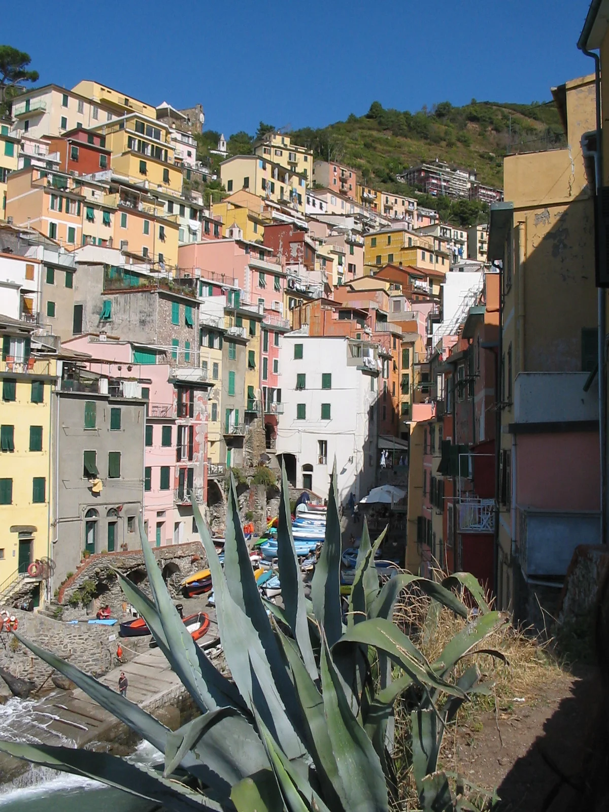 FIOREIMAGE LANDSCAPE