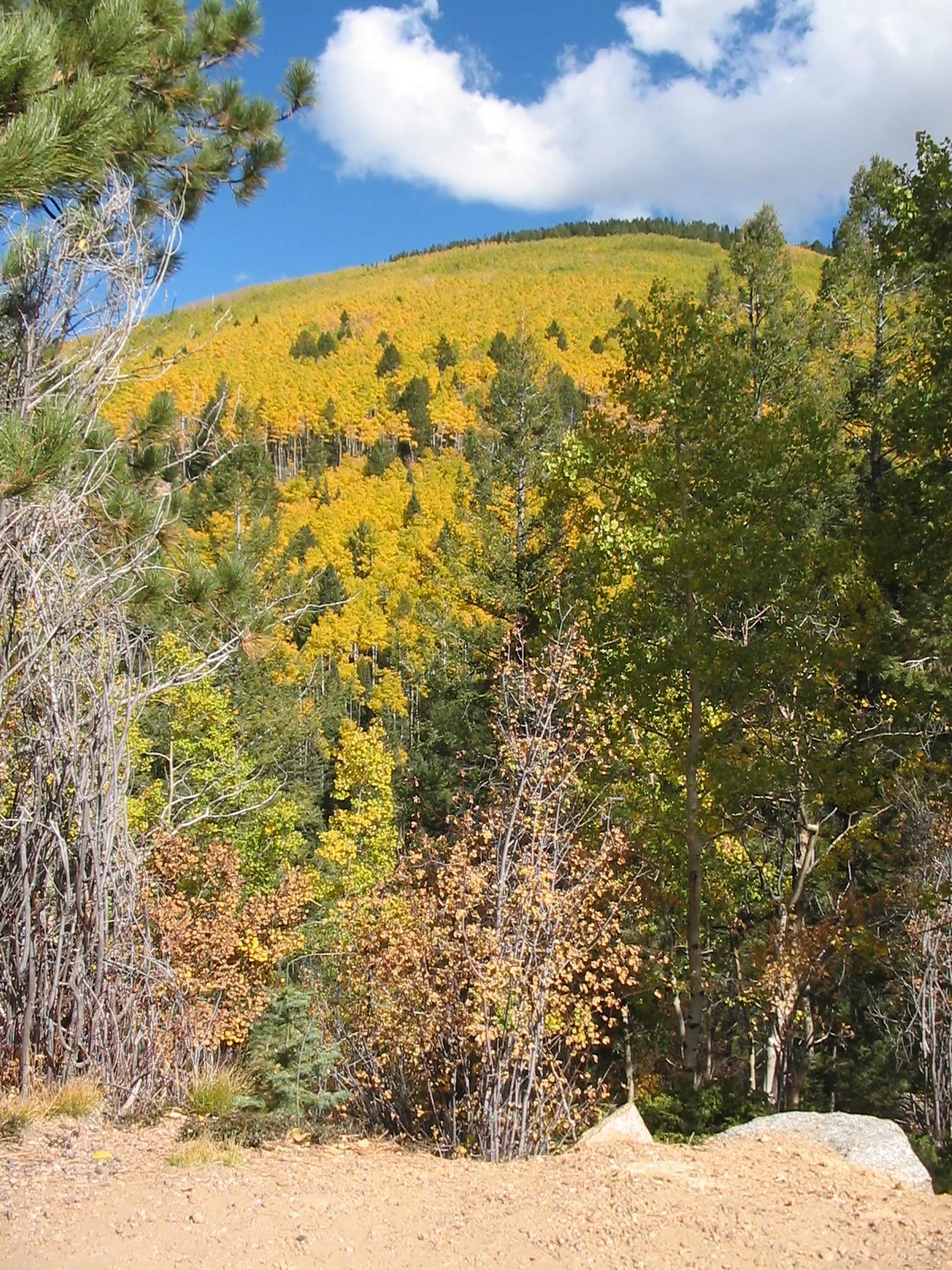 FIOREIMAGE LANDSCAPE