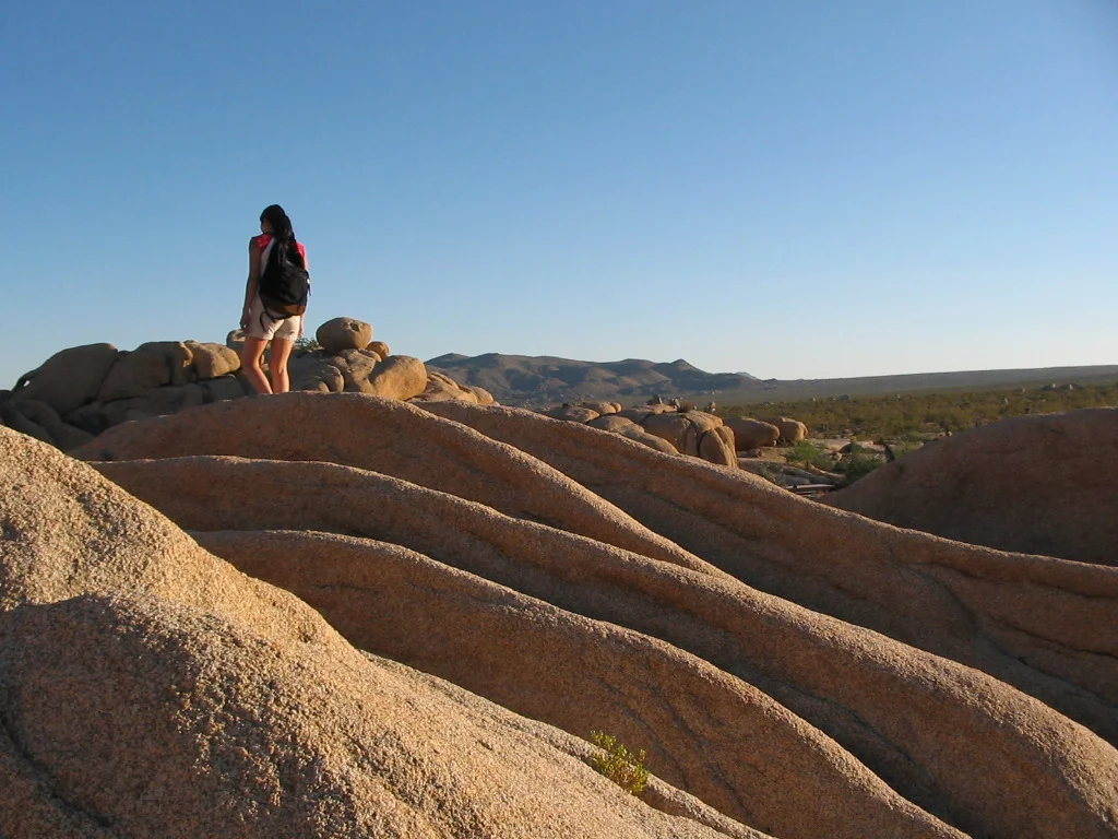 FIOREIMAGE LANDSCAPE