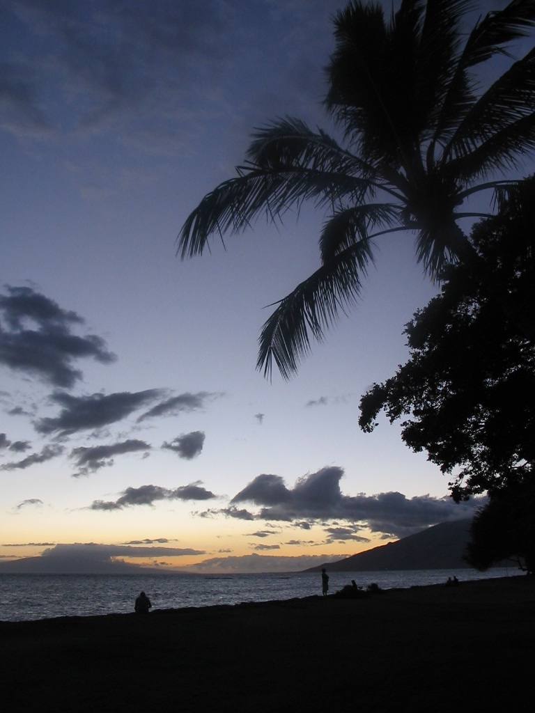 FIOREIMAGE LANDSCAPE