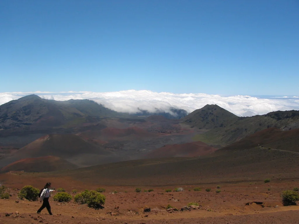 FIOREIMAGE LANDSCAPE
