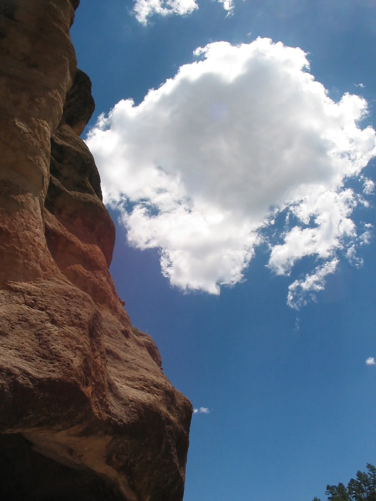 FIOREIMAGE LANDSCAPE